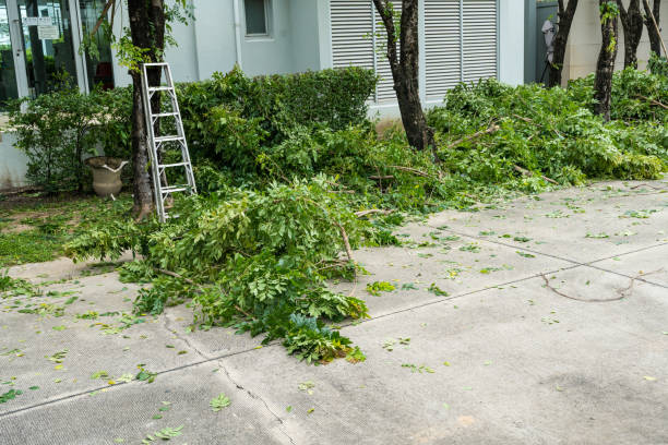 Best Seasonal Cleanup (Spring/Fall)  in Metuchen, NJ
